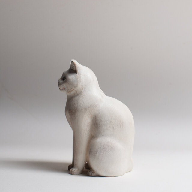 お座り猫 20260916 Sitting cat 20260916 | iichi 日々の暮らしを