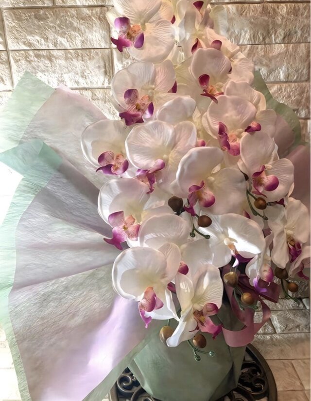 光触媒 人工観葉植物 ウォールグリーン フェイクグリーン 胡蝶蘭6235g