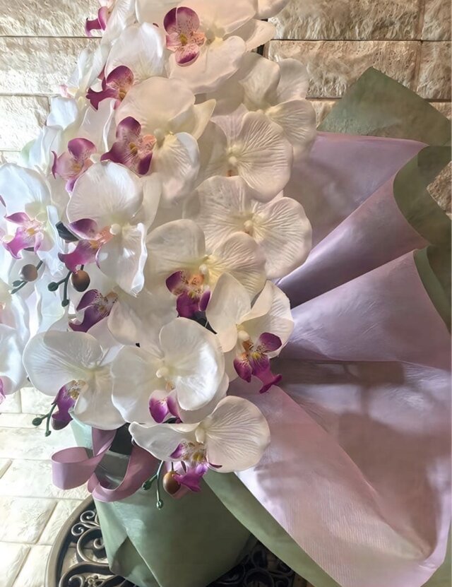 光触媒 人工観葉植物 ウォールグリーン フェイクグリーン 胡蝶蘭6235g