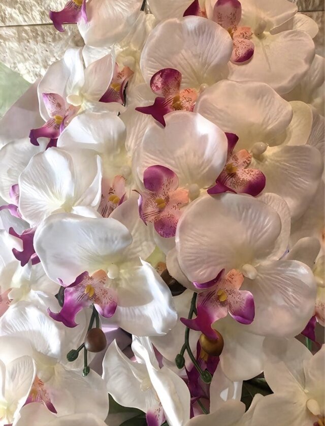 光触媒 人工観葉植物 ウォールグリーン フェイクグリーン 胡蝶蘭6235g