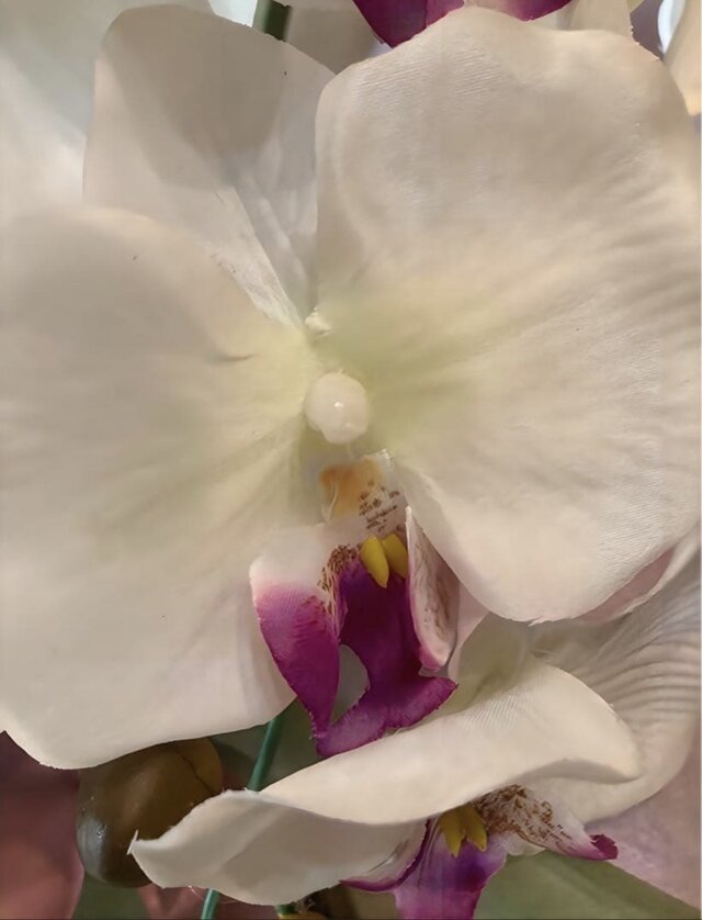 光触媒 人工観葉植物 ウォールグリーン フェイクグリーン 胡蝶蘭6235g