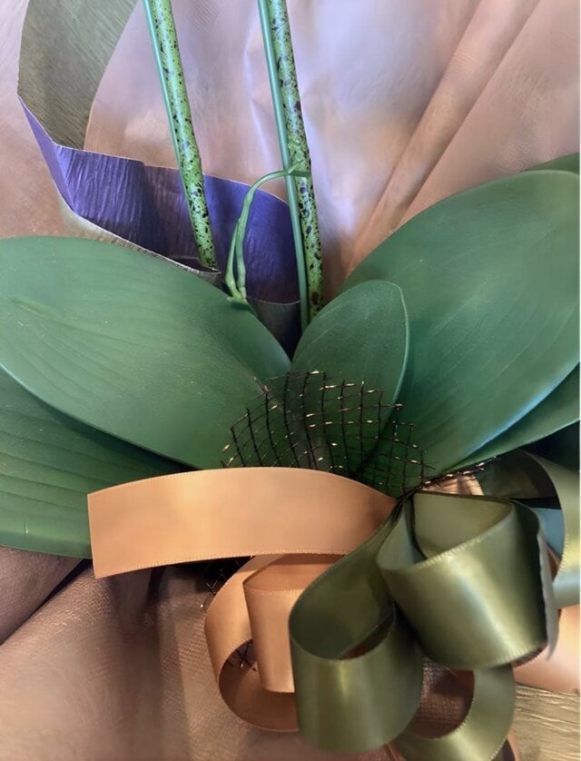 光触媒 人工観葉植物 ウォールグリーン フェイクグリーン リアル胡蝶蘭
