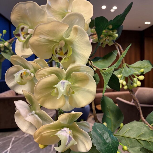 光触媒 人工観葉植物 ウォールグリーン フェイクグリーン マジカル