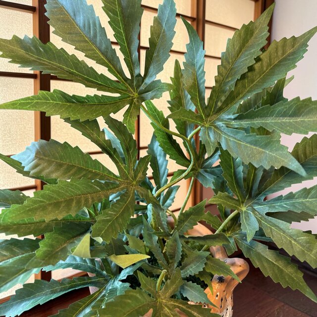 光触媒 人工観葉植物 ウォールグリーン フェイクグリーン 大麻