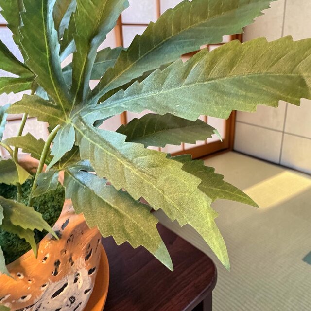 光触媒 人工観葉植物 ウォールグリーン フェイクグリーン 大麻