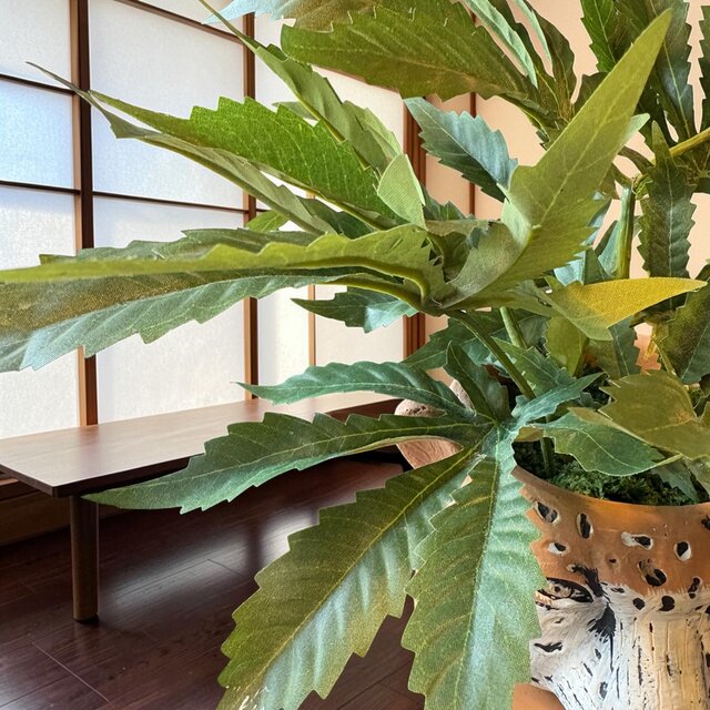 光触媒 人工観葉植物 ウォールグリーン フェイクグリーン 大麻