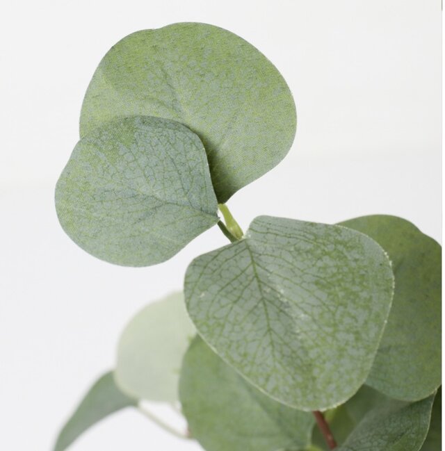 光触媒　人工観葉植物　ウォールグリーン　フェイクグリーン　ユーカリツリー1.85 光触媒 人工観葉植物 ウォールグリーン フェイクグリーン ユーカリ