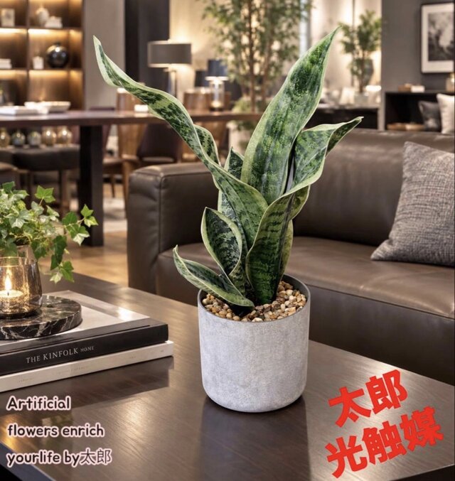 光触媒 人工観葉植物 ウォールグリーン フェイクグリーン サンスベリア