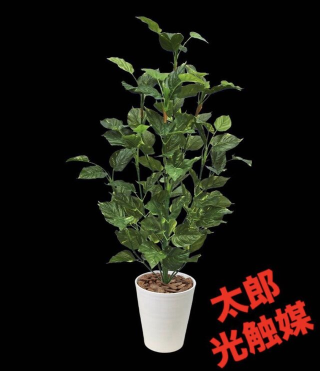 光触媒 人工観葉植物 ウォールグリーン フェイクグリーン ポトス3103