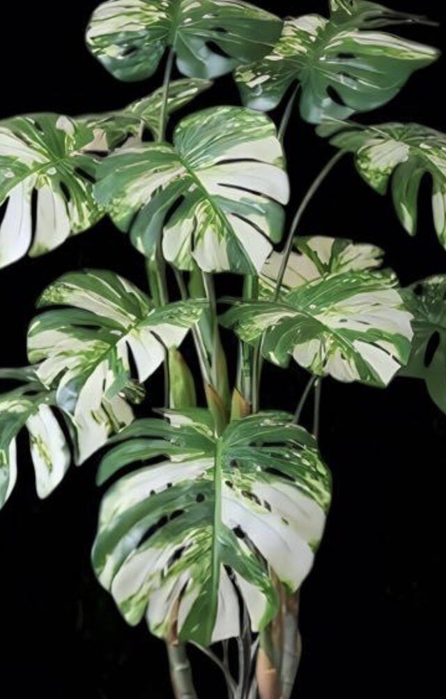 光触媒 人工観葉植物 ウォールグリーン フェイクグリーン モンステラ