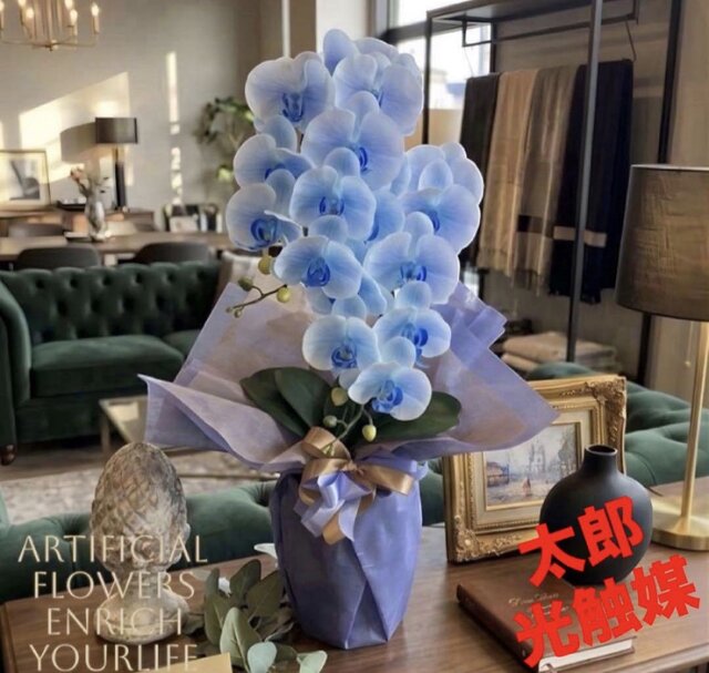 光触媒 人工観葉植物 ウォールグリーン フェイクグリーン リアル胡蝶蘭