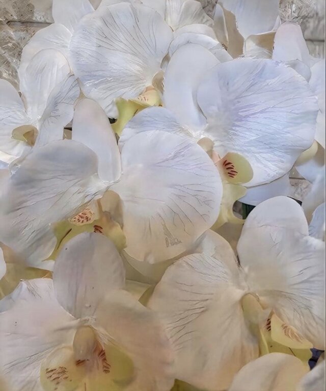 光触媒 人工観葉植物 ウォールグリーン フェイクグリーン 胡蝶蘭7545仏