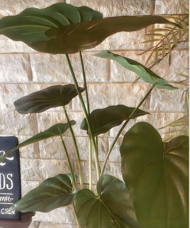 光触媒 人工観葉植物 ウォールグリーン フェイクグリーン アロカシア55