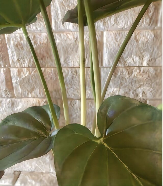 光触媒 人工観葉植物 ウォールグリーン フェイクグリーン アロカシア55