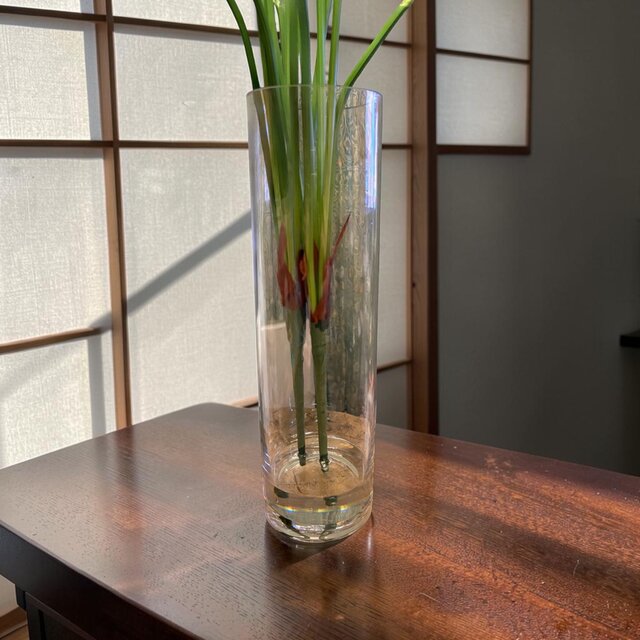 光触媒 観葉植物 ウォールグリーン フェイクグリーン マジカル