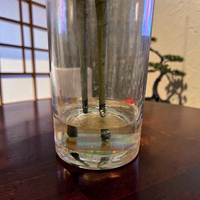 光触媒 観葉植物 ウォールグリーン フェイクグリーン マジカル