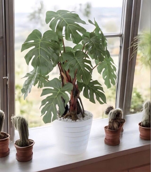 光触媒 人工観葉植物 ウォールグリーン フェイクグリーン モンステラpt