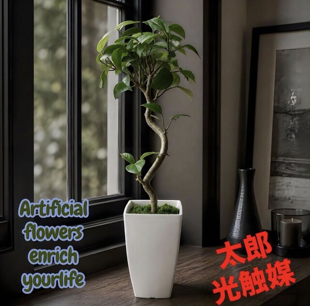 光触媒 人工観葉植物 ウォールグリーン フェイクグリーン ガジュマル50