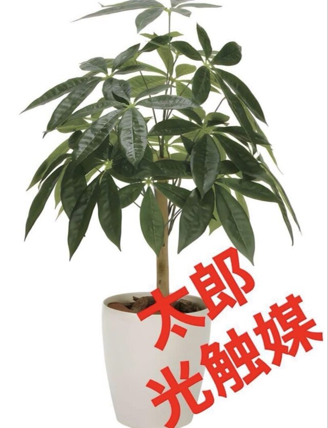 光触媒 人工観葉植物 ウォールグリーン フェイクグリーン パキラ72
