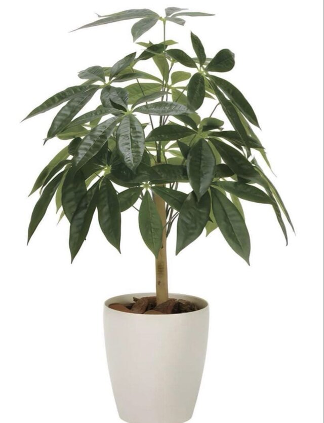 光触媒　人工観葉植物　ウォールグリーン　フェイクグリーン　造花　パキラ180 光触媒 人工観葉植物 ウォールグリーン フェイクグリーン パキラ72