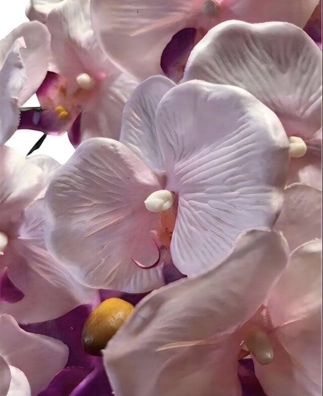光触媒 人工観葉植物 ウォールグリーン フェイクグリーン 胡蝶蘭3色