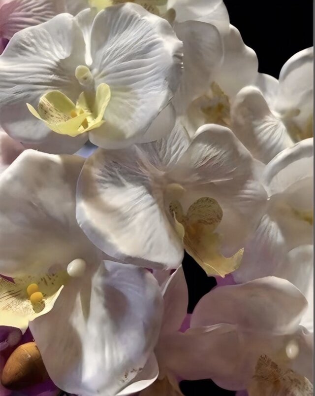 光触媒 人工観葉植物 ウォールグリーン フェイクグリーン 胡蝶蘭3色