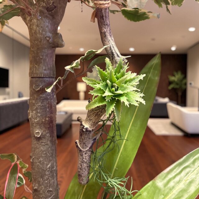 光触媒 人工観葉植物 ウォールグリーン フェイクグリーン 斑入り