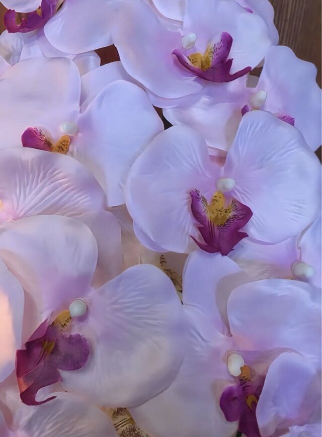 光触媒 人工観葉植物 ウォールグリーン フェイクグリーン 2色胡蝶蘭