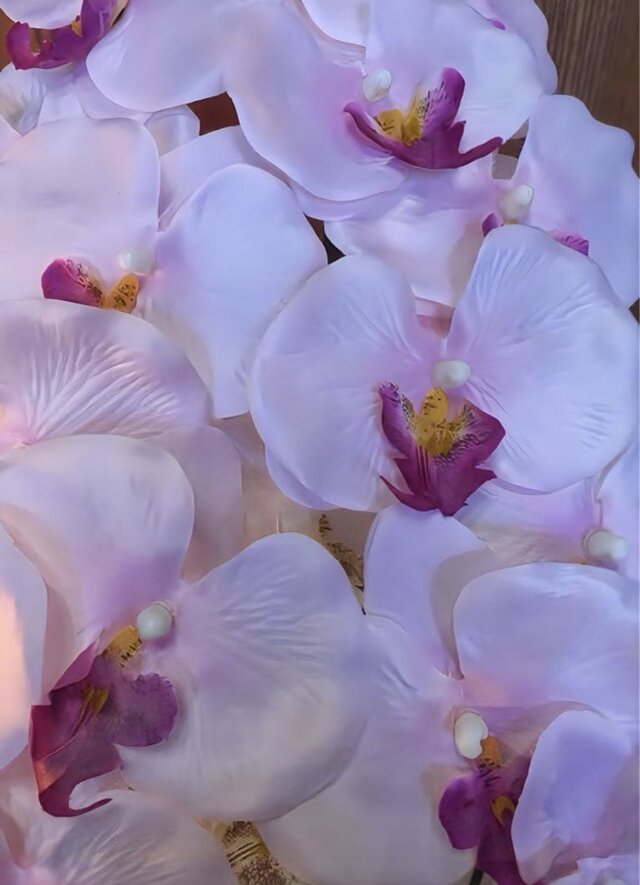 光触媒 人工観葉植物 ウォールグリーン フェイクグリーン 2色胡蝶蘭