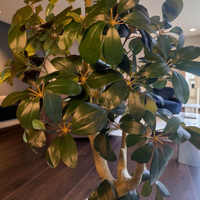 光触媒 人工観葉植物 ウォールグリーン フェイクグリーン カポック