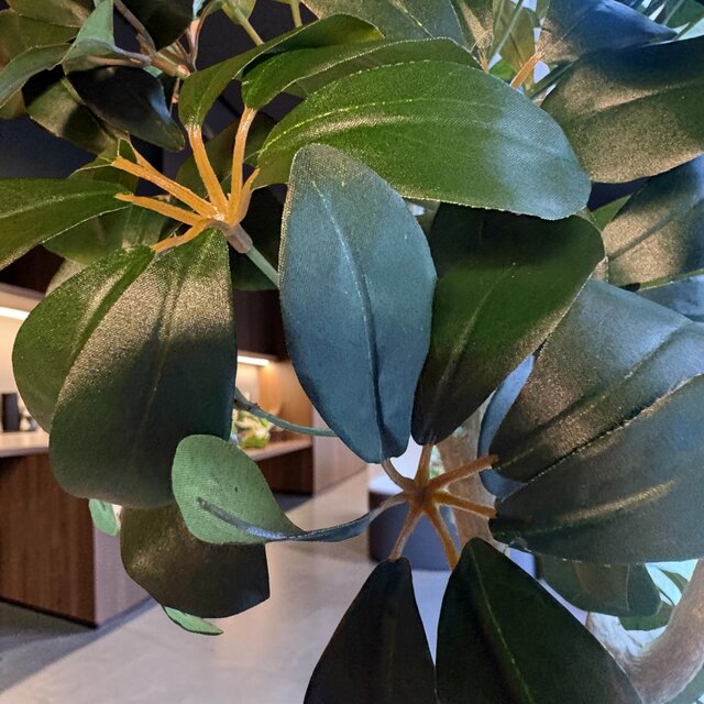 光触媒 人工観葉植物 ウォールグリーン フェイクグリーン カポック