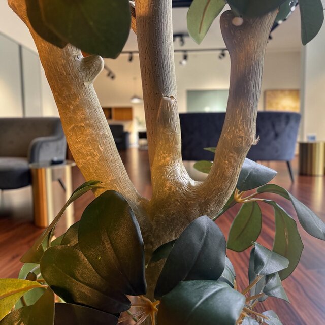 光触媒 人工観葉植物 ウォールグリーン フェイクグリーン カポック