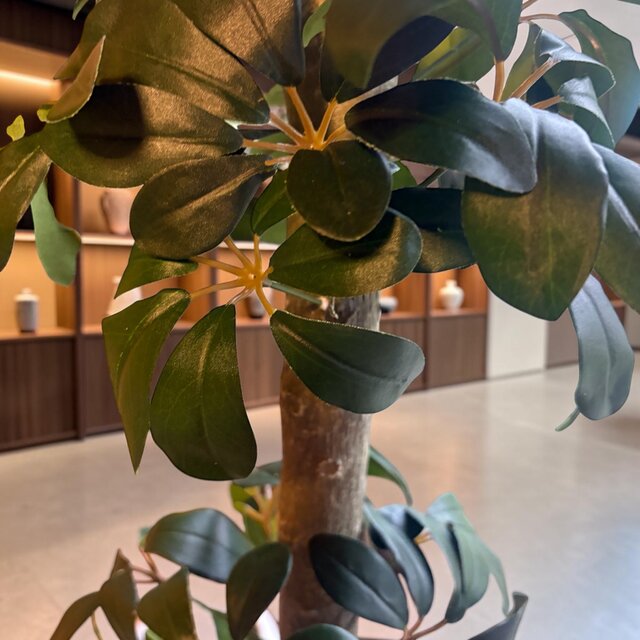 光触媒 人工観葉植物 ウォールグリーン フェイクグリーン カポック