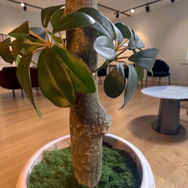 光触媒　人工観葉植物　ウォールグリーン　フェイクグリーン　グリーンカポック100 光触媒 人工観葉植物 ウォールグリーン フェイクグリーン カポック
