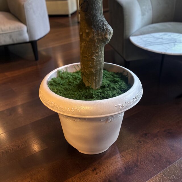 光触媒 人工観葉植物 ウォールグリーン フェイクグリーン カポック