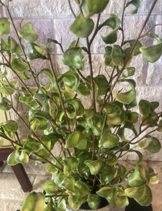 光触媒 人工観葉植物 ウォールグリーン フェイク フラワー