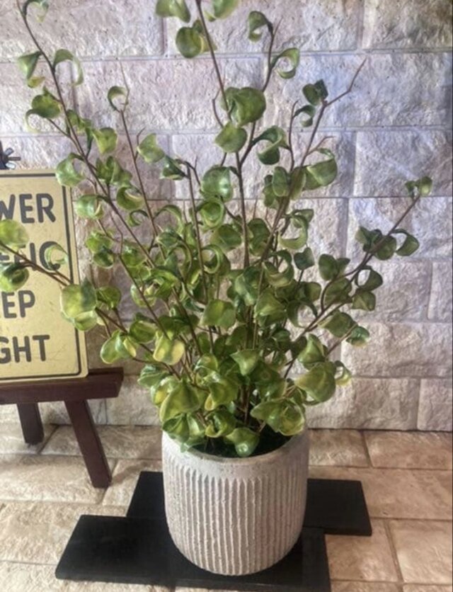 光触媒　人工観葉植物　ウォールグリーン　フェイクグリーン　ベンジャミンバロック2 光触媒 人工観葉植物 ウォールグリーン フェイク フラワー