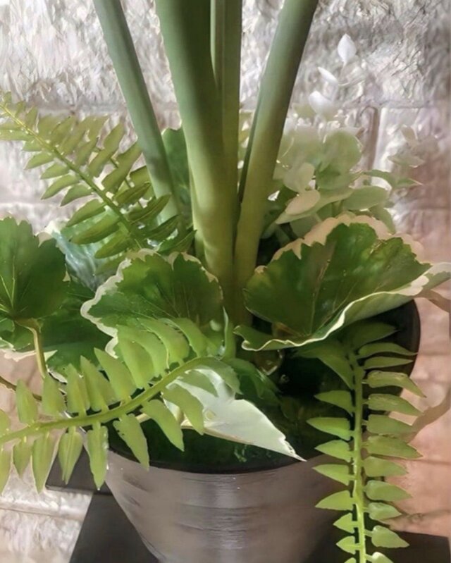 光触媒 人工観葉植物 ウォールグリーン フェイクグリーン oモンステラ