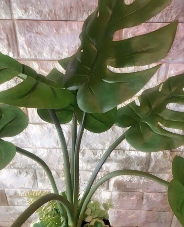 光触媒 人工観葉植物 ウォールグリーン フェイクグリーン oモンステラ