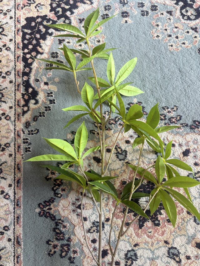 光触媒 人工観葉植物 ウォールグリーン フェイクグリーン oモンステラ