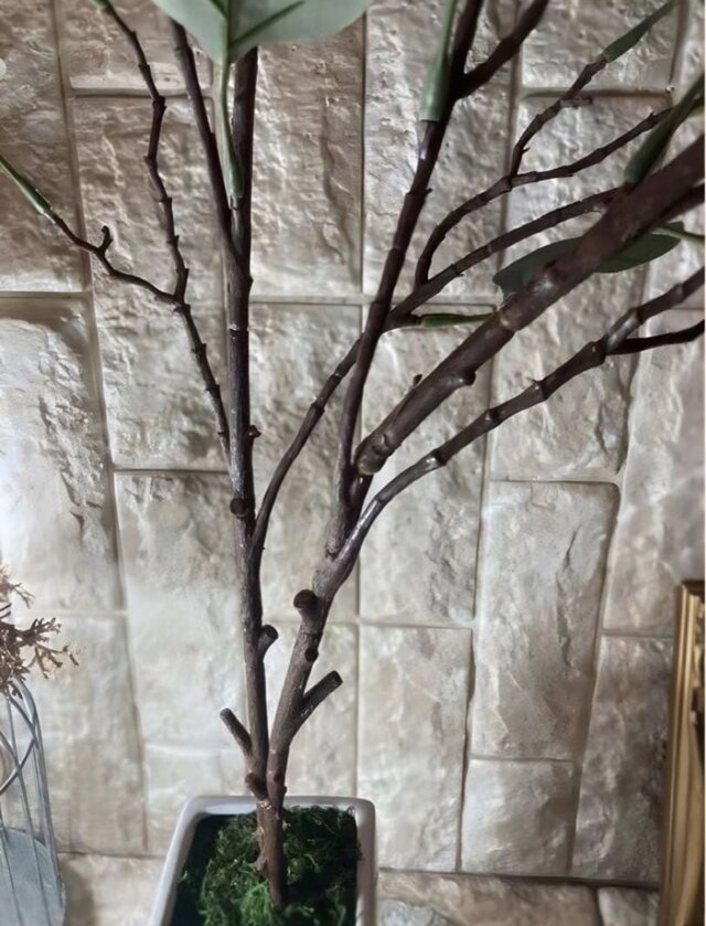 光触媒 人工観葉植物 ウォールグリーン フェイクグリーン ユーカリポポ