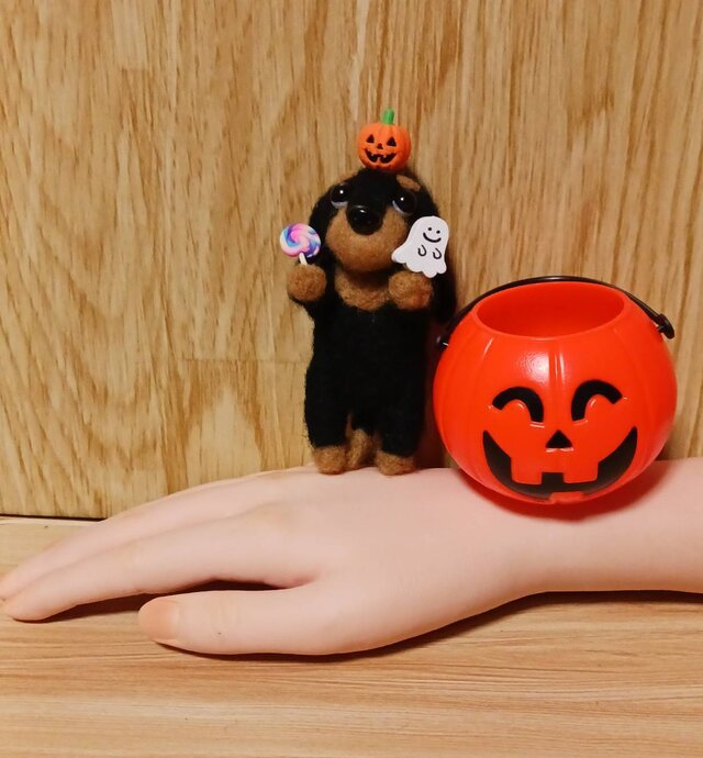 羊毛フェルト ハロウィン ダックスフンド 頭にかぼちゃ可愛いね