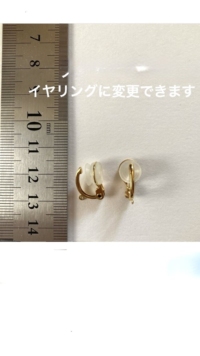フォシルコーラルとレッドアゲートのピアスorイヤリング | iichi 日々