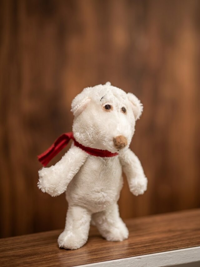 POCKET WHITE DOG 260923 | iichi 日々の暮らしを心地よくする