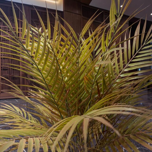光触媒 観葉植物 ウォールグリーン フェイクグリーン マジカル