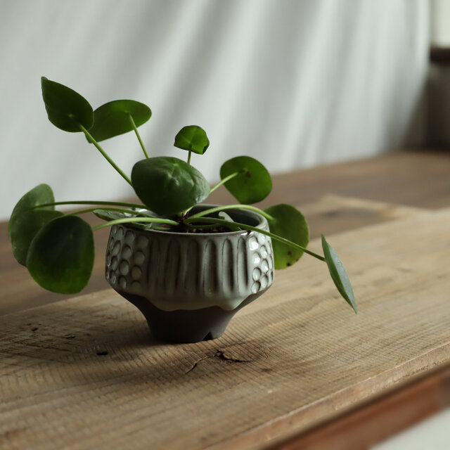 グレー植木罰 / 植木鉢（約3号 | iichi 日々の暮らしを心地よくする