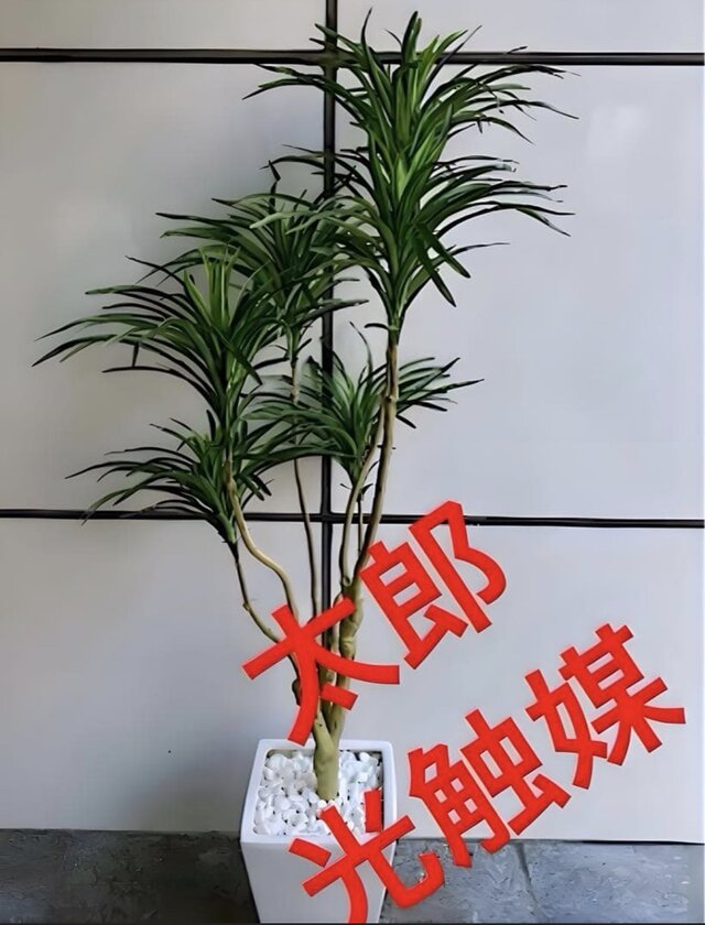 光触媒 人工観葉植物 ウォールグリーン フェイクグリーン コンシンネ