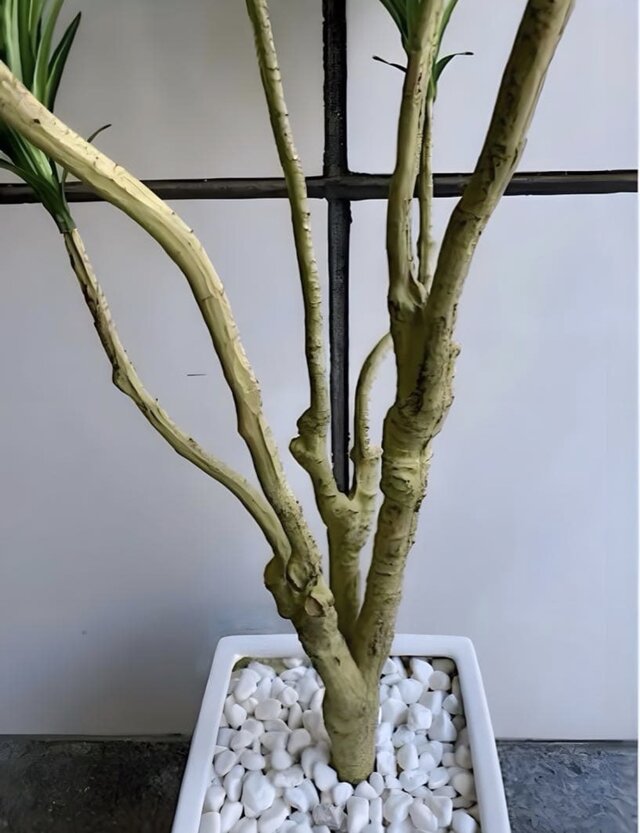 光触媒 人工観葉植物 ウォールグリーン フェイクグリーン コンシンネ