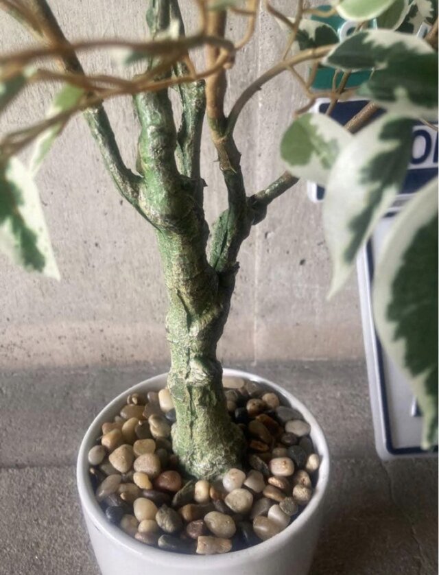 光触媒 人工観葉植物 ウォールグリーン フェイク ベンジャミンフィカス