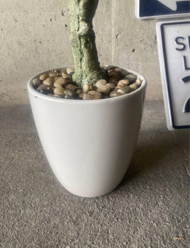 光触媒 人工観葉植物 ウォールグリーン フェイク ベンジャミンフィカス